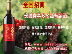 世界酒類巡禮 探索全球主要酒類產品庫